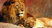 Africa hotel Deals